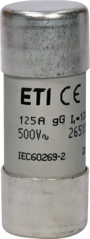 CH22x58 gG 125A/500V