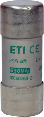 CH22x58 aM 25A/690V