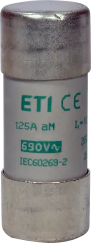CH22x58 aM 125A/500V