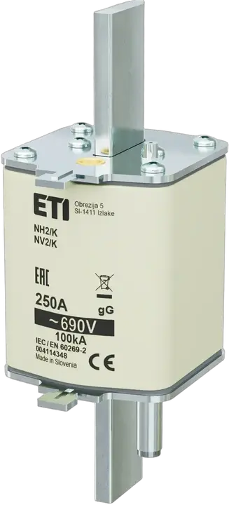 Imagine NH2/K gG 250A/690V