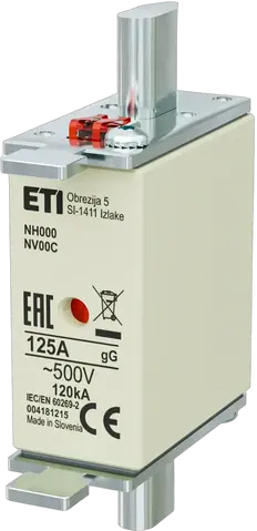 NH000 gG 125A/500V