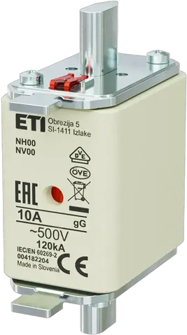 NH00 gG 10A/500V