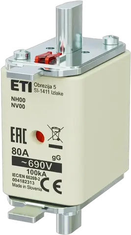 NH00 gG 80A/690V