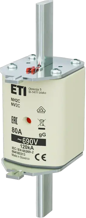 Imagine NH2C gG 80A/690V