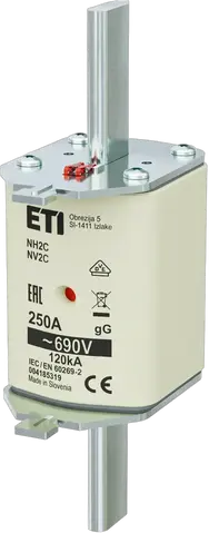 NH2C gG 250A/690V