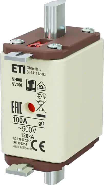 Imagine NH00/I gG 100A/500V
