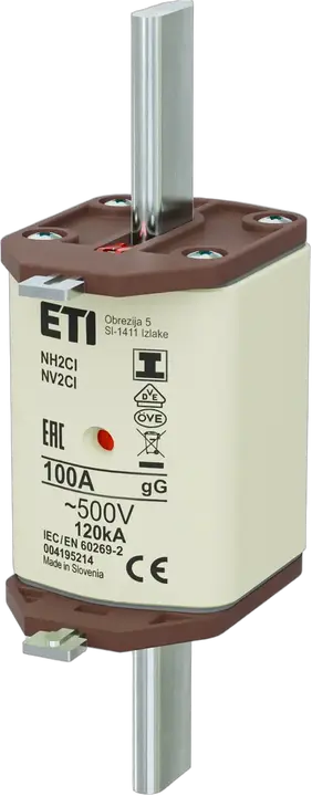 Imagine NH2C/I gG 100A/500V