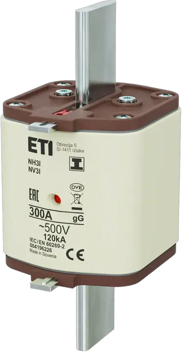 Imagine NH3/I gG 300A/500V