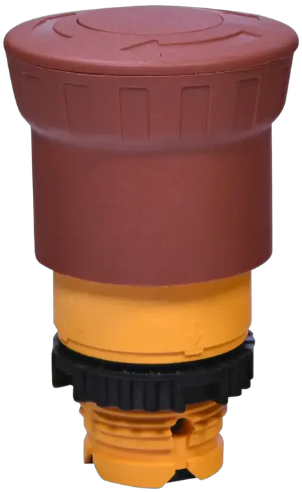 Imagine NSE-PBM-T-R