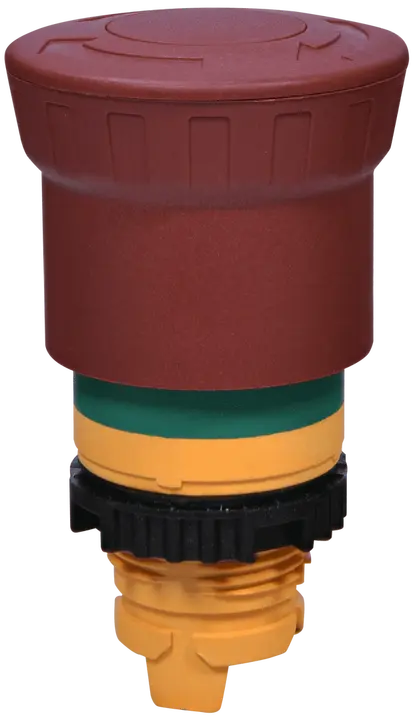 Imagine NSE-PBM-T-RGM