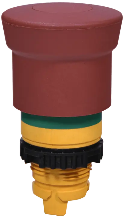 Imagine NSE-PBM-P-RGM